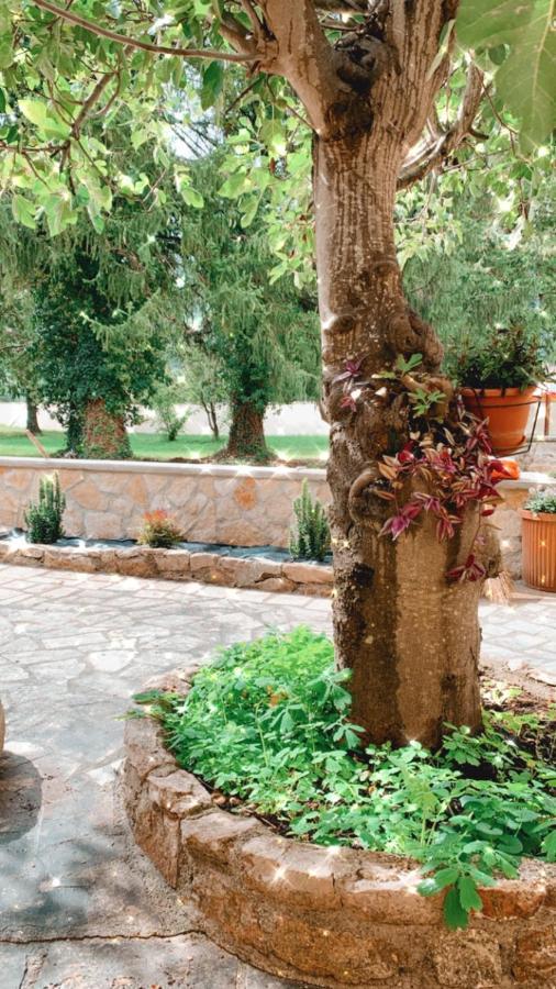 Residence Il Giardino Sul Fiume Nera Cerreto di Spoleto Экстерьер фото